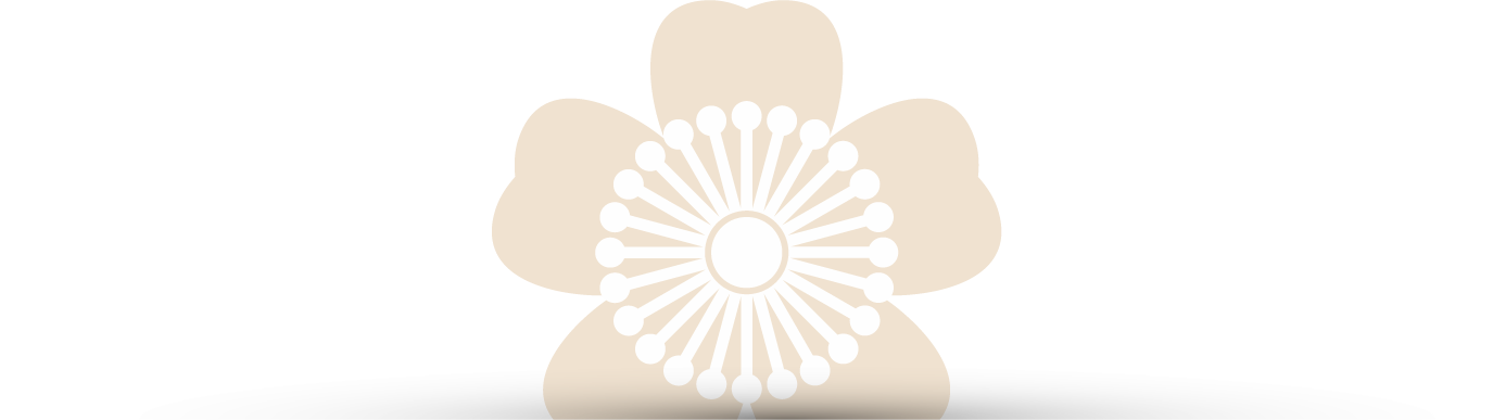 La Fleur de Cerisier