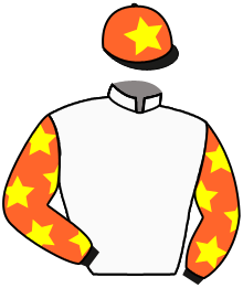 Ladritta Srl