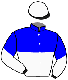 G. Taddei