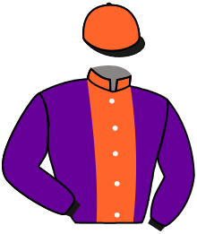 J.N.Temam