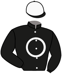 Coy Stables, Llc