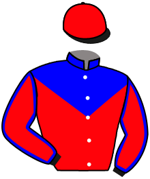 Aj Suited Racing Stable, Llc, Fr