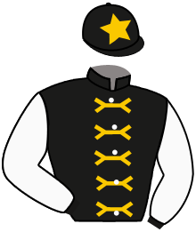 Raceshare & Ballylinch Stud