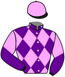 Calypso Racing Stables Llc