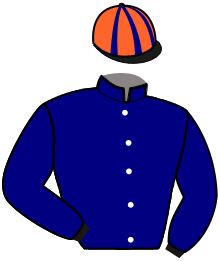 Ecurie Chauvigny Global Equine