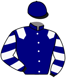 Amerman Racing Stables, Llc (Mr.