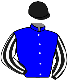Hs. Prados Del Este