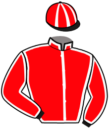N. Munkhaugen Holding As