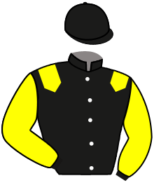 T. Guineheux