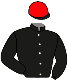 Lucky Seven Stable (Michael J. M