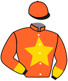 Stall Goldener Stern