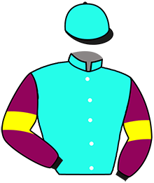 Tramo 20