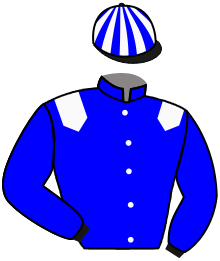 Shadwell Estate Company Ltd