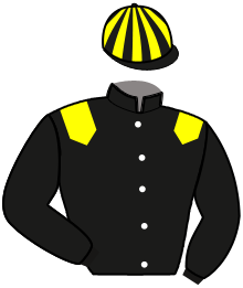 M. Richou
