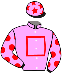 Chancheng Racing Syndicate