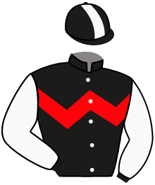 Hkjc Racing Club Limited