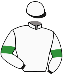 Winstar Farm, Llc (Kenny Troutt)