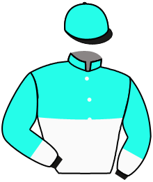 Dirico Racing And Breeding Llc