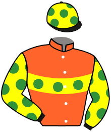 Don Polo