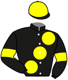 Bond Thoroughbred Limited