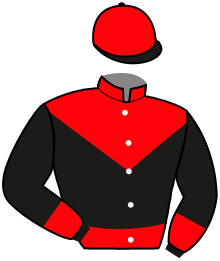 Investeringen B.v. Hoornwijck