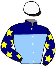 Stal Triumph Stable