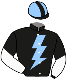Premium Victory Syndicate