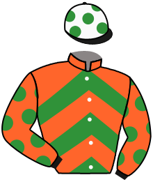 The Philip Hobbs Racing Partners