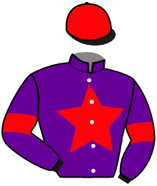 D. Castel