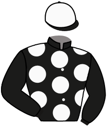 Helena Springfield Ltd