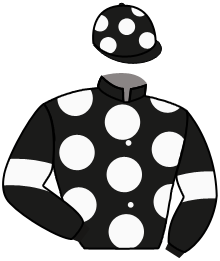 Roy Racing Ltd
