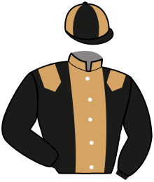 Ecurie les Frères du Trot
