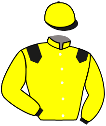 Sheikh Ahmed Al Maktoum