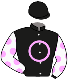 Mhm Stables Llc