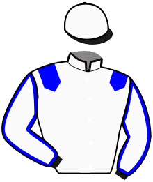 Stables B.v. Naleki (Hol)