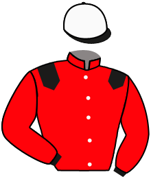 Haras du Lion