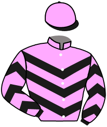 Epic Horses, Llc, Wss Racing, Ll