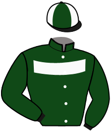Il Miglio Verde (Ity)
