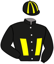 Srf Stable