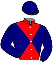 A. Nail