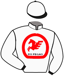 Ds Pegas
