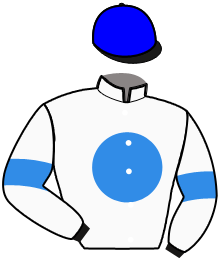 Jean-Francois Johner