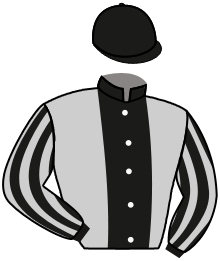 Wg Racing Llc And Mathis Stable