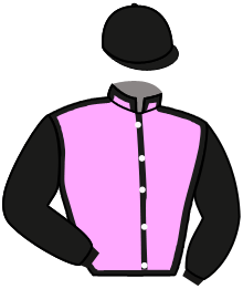 C. Best Horse