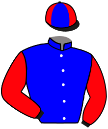 Zak Bloodstock