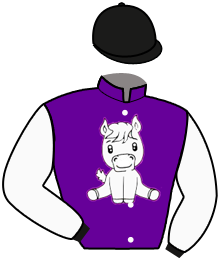 Stall Pony & Friends