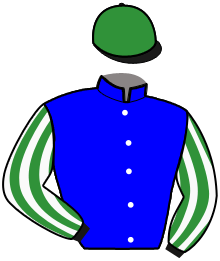 Ecurie du Haras de Saint Martin