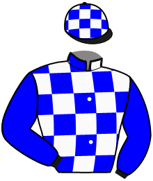 S. Chiche
